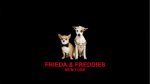Screenshot Website Frieda&Freddies