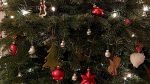 Foto Weihnachtsbaum 2022